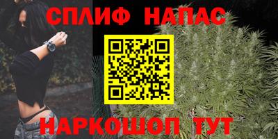 мдпв Кимры