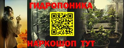 мдпв Кимры