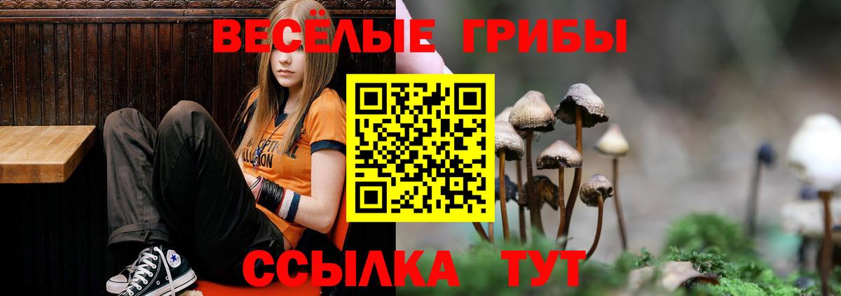 Галлюциногенные грибы MAGIC MUSHROOMS  Вход с VPN  наркошоп  Кинешма  Псилоцибиновые грибы Psilocybe 